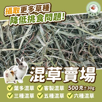 噗啾草坊🐹 混草賣場 客製混草 混合牧草 提摩西 一割 二割 百慕達 甜燕麥 甜小麥 天竺鼠 兔子 龍貓 陸龜 牧草