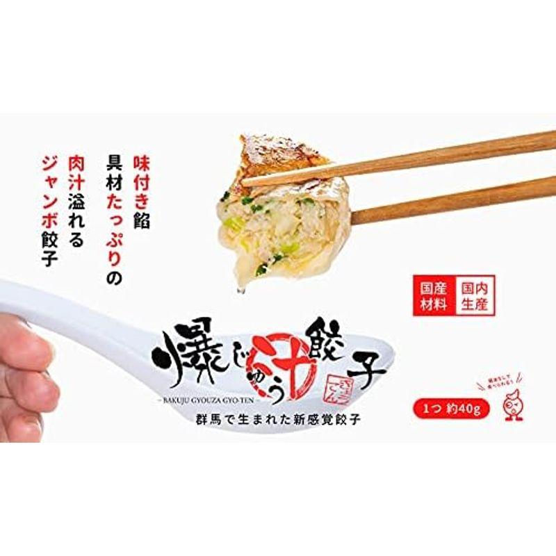 GYO-TEN 爆じゅう餃子 約40g×30個