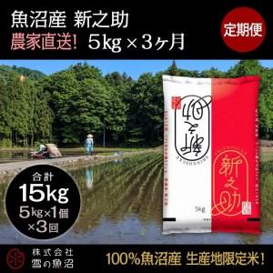 ふるさと納税 定期便！魚沼産 新之助5kg×3回 新潟県十日町市 - 米,ごはん