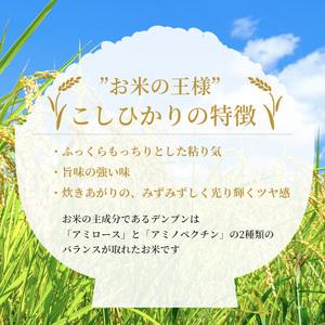 ふるさと納税 米 令和5年 広島県安芸高田市産 こしひかり 10kg（5kg×2袋） 広島県安芸高田市