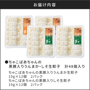 ちゃこばあちゃんの黒豚入りうんまか・しそ生餃子　計48個入り　K027-004 薩摩 さつま 大人気餃子 人気餃子 鹿児島産餃子 鹿児島県産餃子 餃子三昧 餃子セット しそ 紫蘇 しそ生餃子 しそ餃子 大人気黒豚 人気黒豚 鹿児島産黒豚 鹿児島県産黒豚 お弁当 おかず キャンプ 点心 中華 中華料理 飲茶 黒豚入り餃子 生餃子 ちゃこばあちゃん 焼き餃子 水餃子