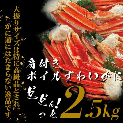 大振り ボイル ずわいがに 肩付き 脚の身 2.5kg セット かに カニ 蟹 お歳暮 ギフト