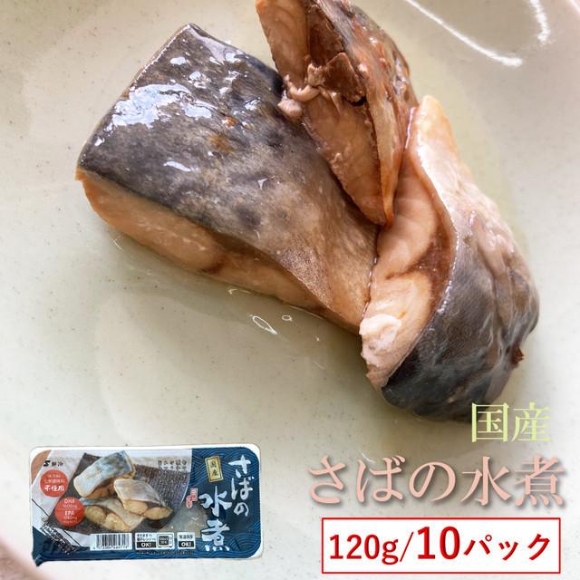 魚 国産  さばの水煮 120g×１０袋 保存料・化学調味料不使用