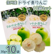 信州産　ドライ青りんご　10袋セット