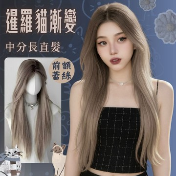 [24H台灣出] 暹羅貓漸變前額一字蕾絲 整頂假髮 仿真假髮 灰色假髮 蕾絲內網 假髮女 中分假髮 長直假髮 假頭髮