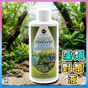 放風水族【UP藻類對策液】台灣 抑制黑毛藻 絲狀藻 褐藻 綠水 魚缸清潔 淨水 藻類控制 不傷魚蝦 水草缸救星 淨化水質