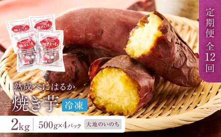 蜜がたっぷり♪熟成べにはるか 焼き芋（冷凍）2kg（500ｇ×4P）＜大地のいのち＞