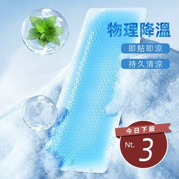 【台灣發貨】夏季清涼感冰涼貼 2片裝【N223】