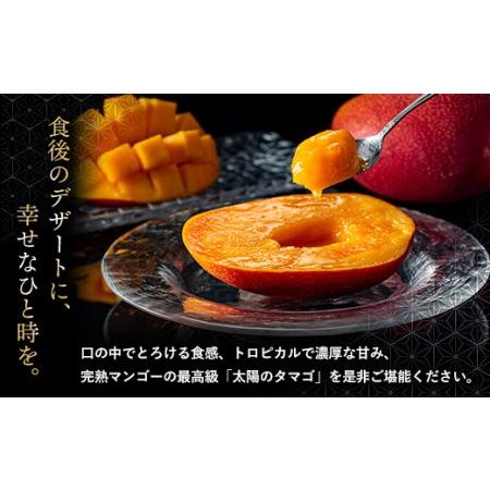 ふるさと納税 太陽のタマゴ 3玉 約1kg 完熟 マンゴー 濃厚 宮崎 高級 果物 フルーツ 贈答 ギフト 先行受付 送料無料 （14-68） 宮崎県綾町