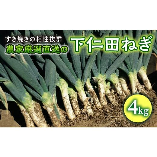 ふるさと納税 群馬県 富岡市 農家厳選直送の下仁田ねぎ 4kg(すき焼きの相性抜群)