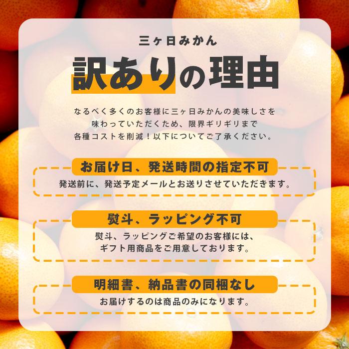 みかん 三ケ日みかん ミカン 10kg 訳あり 訳アリ 三ヶ日みかん 早生 三ヶ日 どうまいらぁ S 3L サイズ不揃 産地直送 訳ありみかん ミカン 蜜柑 10キロ 静岡県