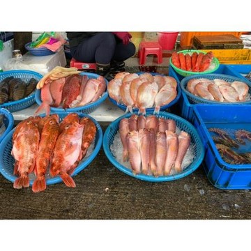 宜蘭旅遊｜小卷壓片飯糰DIY．呷冰棒拜土地公．大溪漁港海鮮一日｜大人囝仔_26TEYLNIGD