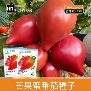 🌱【原裝水果種子】🍅芒果蜜番茄 親測出芽率超85% 糖度輕鬆破10 果實豐產 陽台盆栽首選 稀有黃果