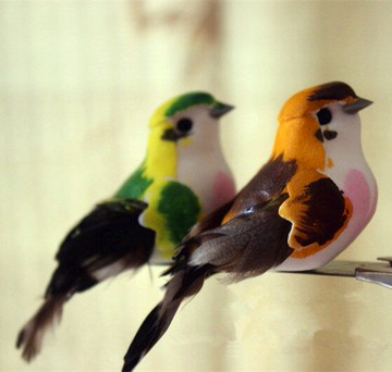 動物模型 仿真小鳥 彩色羽毛喜鵲 攝影道具場景裝飾 教科認知