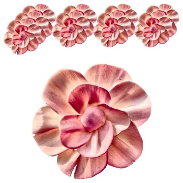 太陽花 6cm 10個 柔紅色  1組