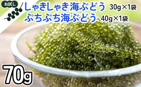 ふくらむぷちぷち海ぶどうセット　塩水タイプ　70g