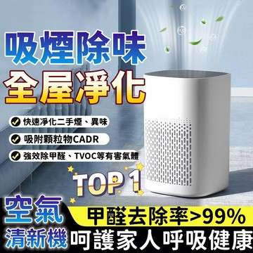 負離子空氣清淨機🏆淨化王🏆空氣除臭機 空氣淨化機 淨化器 空氣清淨機 車用清淨機 除濕清淨機 寵物淨化器 除甲醛 除煙味