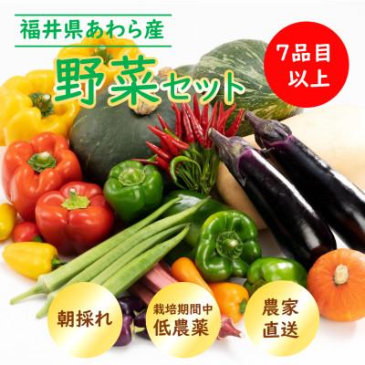 ふるさと納税 あわら市 農家直送 旬の野菜セット 7品目以上 1箱