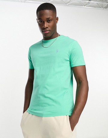 Polo Ralph Lauren icon logo t-shirt custom fit in light green
