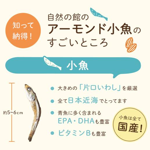 おつまみ ナッツ アーモンド小魚 送料無料  小魚アーモンド 訳あり ビール