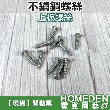 【隔日到貨】不鏽鋼螺絲 一支1元 M4*16 鹿角蕨上板螺絲 鹿角蕨螺絲 白鐵螺絲 台灣製造【HOMEDEN霍登園藝】