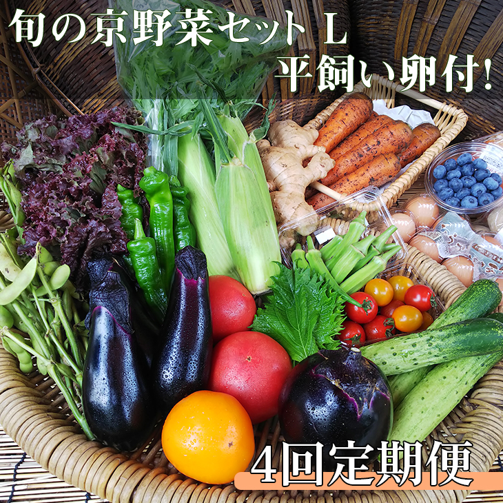 ＜アスカ有機農園＞旬の京野菜セットL（平飼い卵付）＊毎月お届け全4回≪定期便 ふるさと納税野菜 たまご≫