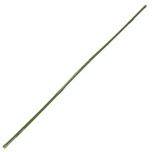 園藝用綠竹 H90cm