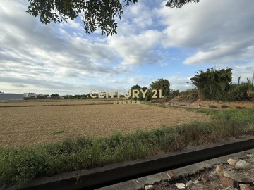 新屋啟文段臨路20米前後有路農地｜桃園市新屋區啟文段