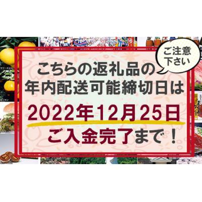 ふるさと納税 いちき串木野市 天然キハダマグロ (約1kg)