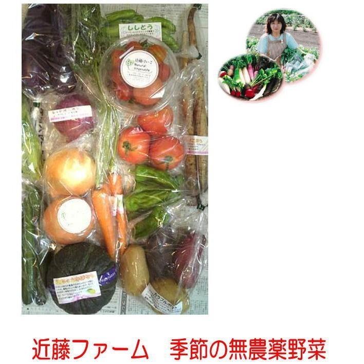 偶数月　8〜10品「無農薬野菜セット」  近藤ファーム