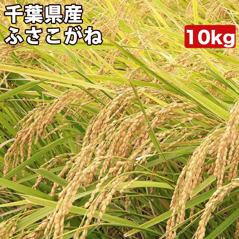 新米 米 10kg お米 玄米 真空パック（5kg×2袋）ふさこがね 千葉県産 令和5年産 精米無料 真空パック無料 送料無料