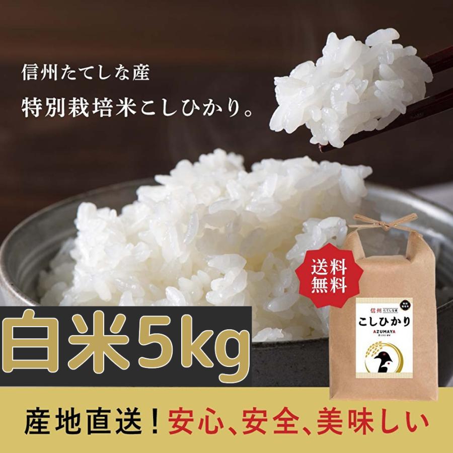 令和5年度産　5kg　白米　コシヒカリ 　おこめ　長野県　信州産　美味しい　立科町　たてしな　注文を受けてから精米いたします