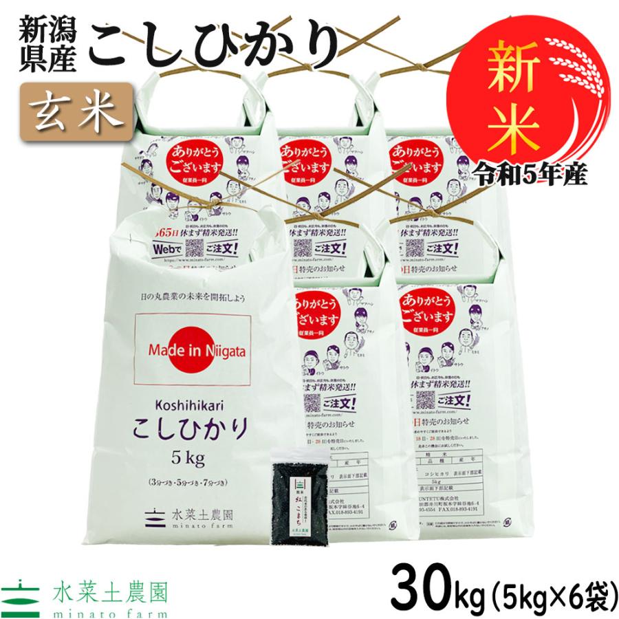 新米 お米 米 米30kg （5kg×6袋） 玄米 こしひかり 令和5年産 新潟県産 古代米お試し袋付き