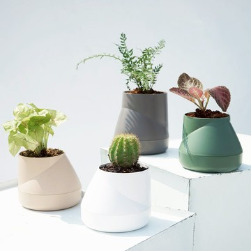 QUALY 山丘-免澆水花器S