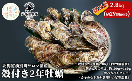 訳あり 北海道 湧別町 サロマ湖産 殻付き 2年牡蠣 2.8kg（約29個前後）