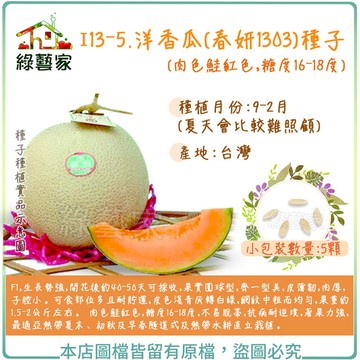 I13-5.洋香瓜(春妍1303)種子5顆 (肉色鮭紅色，糖度16-18度)//生長勢強，果實圓球型，皮薄韌【綠藝家】