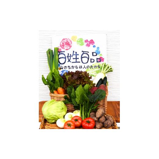 ふるさと納税 愛媛県 西予市 新鮮野菜の詰め合わせ（８〜10品目）