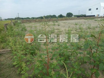玉山路都計小農地｜嘉義市西區何庄段