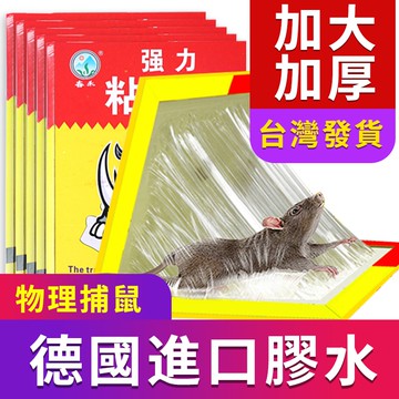 🦏犀牛牌🦏 【臺灣現貨】買十送一  進口膠水 粘鼠貼 滅鼠 黏鼠闆 老鼠闆  捕老鼠 老鼠闆  抓老鼠 老鼠貼 老鼠神器