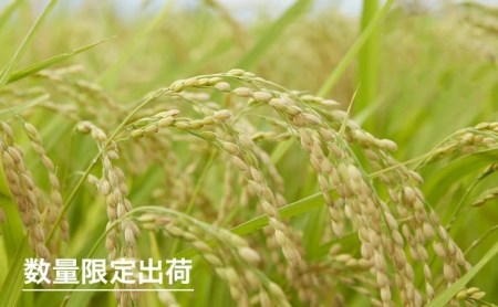 令和5年産　岩手県矢巾町　ひとめぼれ精米10kg×3ヵ月