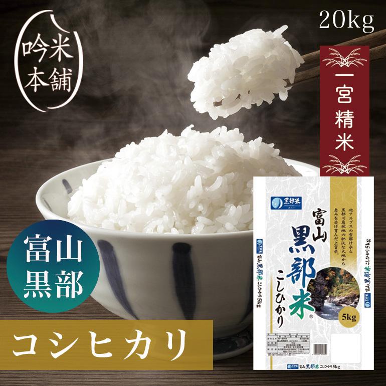 コシヒカリ 米 20kg 白米 送料無料 富山県黒部産 令和5年 一宮精米 米 5kg×4本