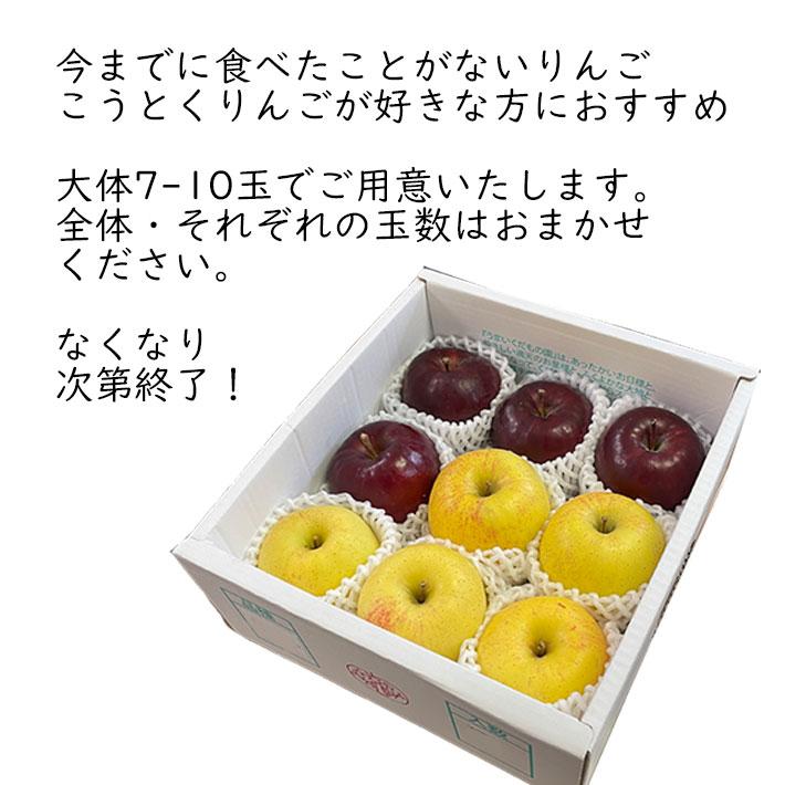 蜜入り りんご いわせっ娘＆はるか 詰め合わせ 約2kg（7-10玉）幻のりんご 小玉 山形県産