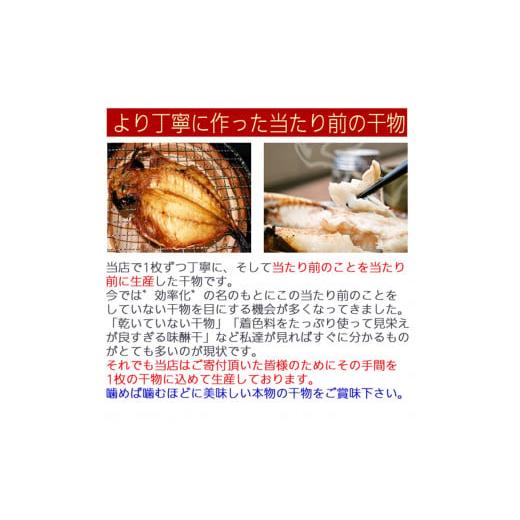 ふるさと納税 神奈川県 小田原市 おまかせ干物セット 2倍セット【惣菜 魚 干物 ひもの お取り寄せ 御中元 お中元 お歳暮 父の日 母の日 贈り物 家庭用 自宅用 …