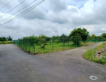 中豐路漂亮休閒農地｜桃園市龍潭區新烏樹林段