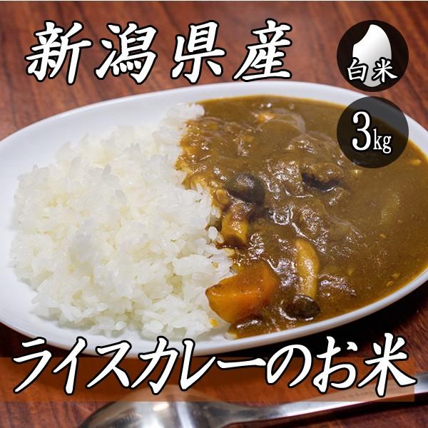 お米 3kg 新潟産 ライスカレーのお米 3kg×1袋 令和5年産 米 白米