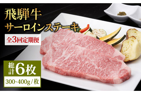 飛騨牛 サーロインステーキ 400g×2枚 国産 和牛 牛肉 焼肉 お取り寄せ   [MBE021]