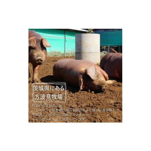 ふるさと納税 茨城県 鉾田市 放牧デュロック純粋種「やまの華豚」精肉お任せセット