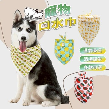 【台灣出貨】寵物口水巾｜狗狗貓咪圍兜｜造型寵物圍巾｜寵物圍兜口水巾｜狗狗口水巾｜貓咪口水巾｜拍照造型圍兜