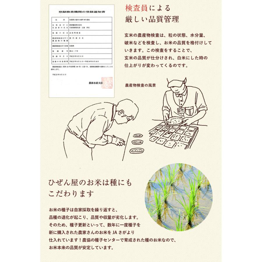 新米　お米 10kg さがびより 佐賀県産 令和5年産 5kg×2袋