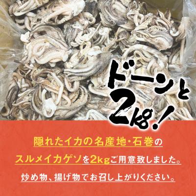 ふるさと納税 石巻市 石巻産スルメイカ ゲソ(2kg)